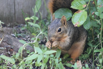 Fototapeta premium Untitled