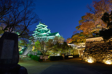 岡山城の夜景