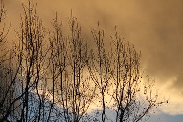 Obraz premium Untitled