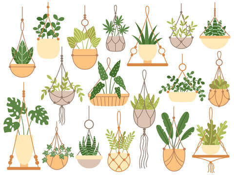 Plants in hanging pots. Decorative macrame handmade hangers for flower pot, hang indoor plants isolated vector set