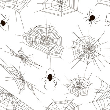 Collection of spiders and webs pattern