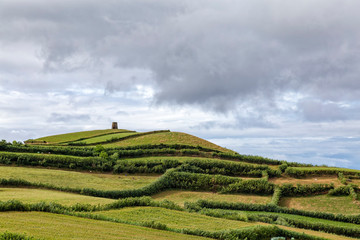 Cornfields outside Ginetes, a small village in Sao Miguel.