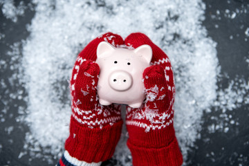 Image of man's hands in red mittens holding piggy bank