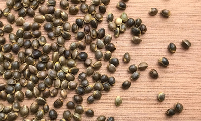 Macro Close Up of Cannabis Hemp Seeds