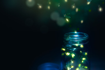 fireflies in a jar on a dark background