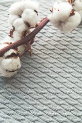 Cotton flowers on grey fabric closeup. Minimal layout. Home-like concept