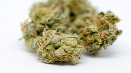 Cannabis Weed Bud macro in white background