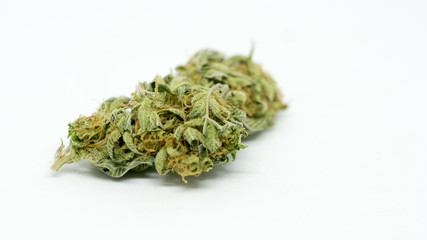 Fototapeta na wymiar Cannabis Weed Bud macro in white background