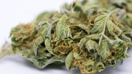 Cannabis Weed Bud macro in white background