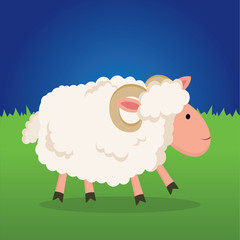 Obraz na płótnie Canvas Farm sheep. sheep in a meadow. Sheep walking on a farm at night.