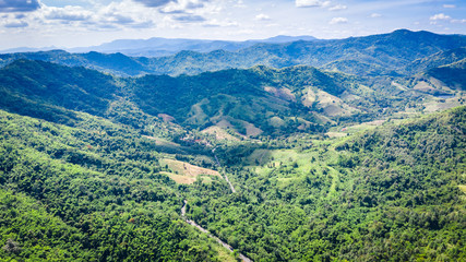 Fototapeta na wymiar aerial view green trees on the mountain in Thailand