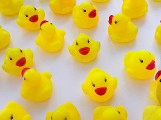 Yellow cute ducks toys 