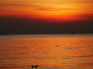 Fototapeta premium Wonderful picturesque places , many seagulls and good view at Bangpu Recreation Center ,Samut Prakan THAILAND.
