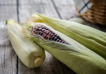 Fototapeta premium Mature fresh corn