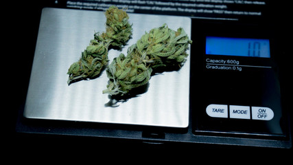 cannabis bud on a digital scale