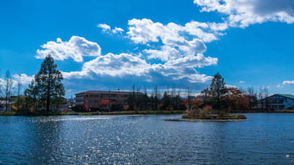 Obraz premium 矢ケ崎公園 秋