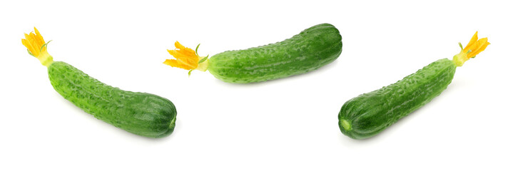one fresh cucumbers isolated on white background