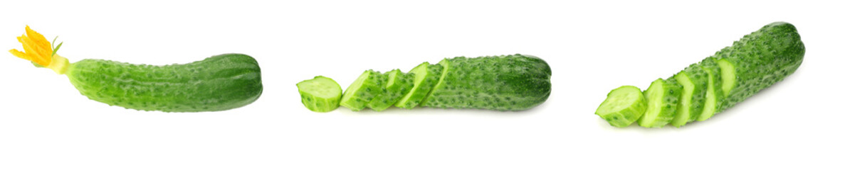 one fresh cucumbers isolated on white background