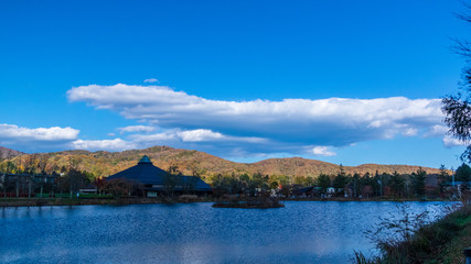 矢ケ崎公園　秋