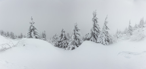 Panorama of heavy snow on top of the mountain. Cold winter day with heavy fog and snow