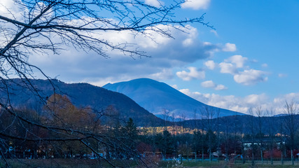 矢ケ崎公園　秋