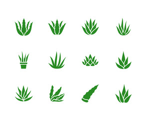 Aloe vera flat glyph icons. Succulent, tropical plant vector illustrations, signs for organic food, cosmetic. Solid silhouette pixel perfect 64x64 - obrazy, fototapety, plakaty