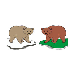 Flat vector cartoon bear 