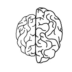 Different parts of brain
