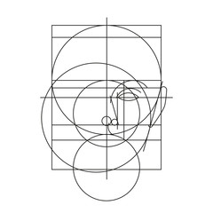 Proporcje Twarzy Człowieka Rysunek Wektor Buy This Stock