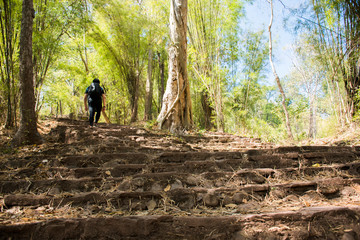 Obraz premium Man is walk go to the top hills at PhuKradueng National Park, Loei.