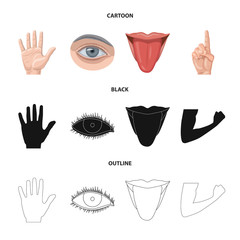 Vector design of human and part sign. Set of human and woman vector icon for stock.