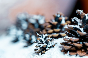 Pine Cones in snow on a blurred background of bokeh garland