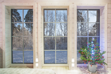Winter landscape in white window. Home and garden New Year concept.
