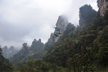 Fog and humidity in the mountains Avatar