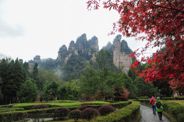 The road in the park in the mountains Avatar