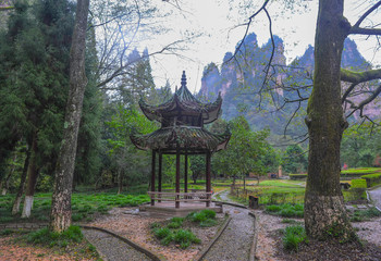 Arbor in the mountains Avatar