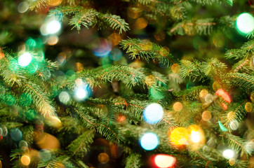 Christmas holiday background. Christmas fir tree and beautiful bokeh of sparkling lights.