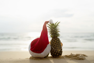 Coconut Holiday  with glasses and Santa Claus hat and pineapple,Concept Christmas on the beach Tropical design made in Phuket, Thailand.