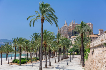 Fototapeta na wymiar Palma de Mallorca, Balearic Islands, Spain - July 21, 2013: Cathedral of St. Mary of Palma (Cathedral de Santa Maria de Palma de Mallorca)