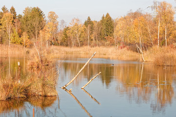 Autumnal banks of Old Rhine