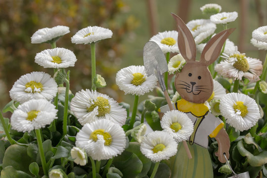 Osterhase mit Spaten und Eimer in weissen Bl&uuml;ten