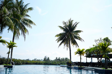 Fototapeta na wymiar Palm trees at swimming pool 
