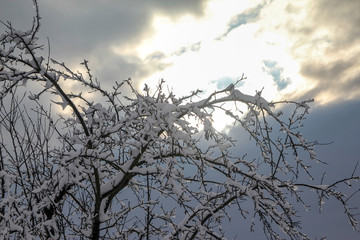 Rural snowy village scene. Countryside detail in a winter.