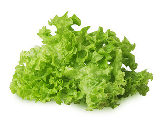 Green oak lettuce