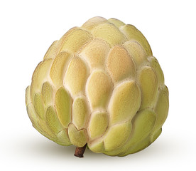 Fototapeta premium Sugar-apple, fruit of Annona squamosa cherimoya