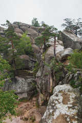 View on Dovbush rocks/ Wildlife Dovbush, Ivano-Frankivsk Oblast, Ukraine. Skeli Dovbusha Rock Climbing Area. Cleft in rocks during cloudy rainy weather.