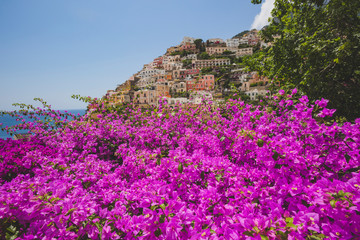 Naklejka premium Bougainvillea flowers in Positano. Italian landscape