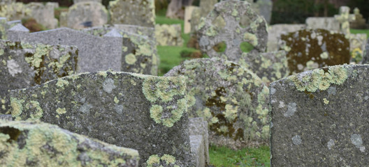 Lichen covered gravestones