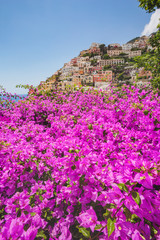 Naklejka premium Bougainvillea flowers in Positano. Italian landscape