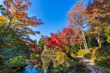 Obraz premium 紅葉の甘泉園公園 上池の風景
